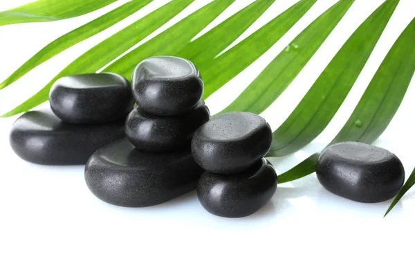 Piedras de spa y hoja de palma verde aisladas en blanco —  Fotos de Stock