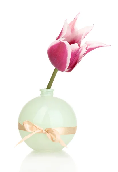 Schöne Tulpe in der Vase isoliert auf weiß — Stockfoto
