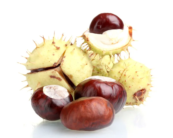 Green and brown chestnuts isolated on white — Stock Photo, Image