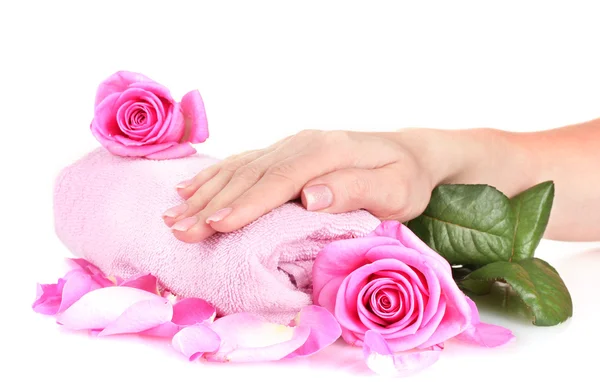 Růžový ručník s růžemi a rukama na bílém pozadí — Stock fotografie
