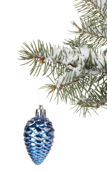Cono di Natale sull'albero su sfondo bianco — Foto Stock