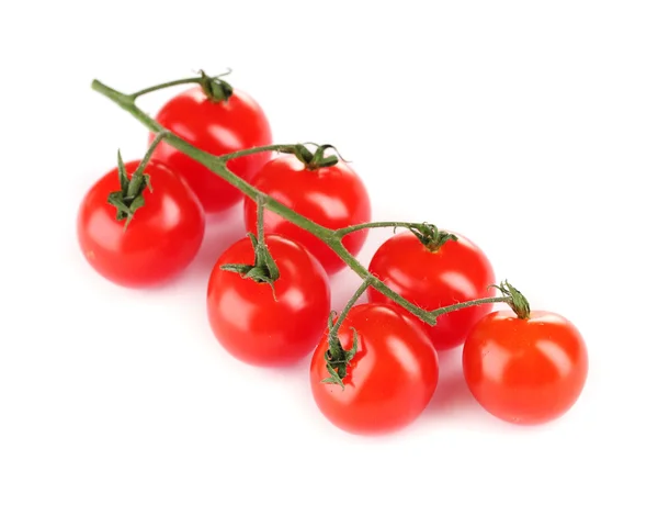 Hermosos tomates cherry en una rama aislada en blanco — Foto de Stock