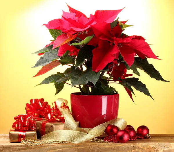 Красивые poinsettia в цветочный горшок, подарки и рождественские шары на деревянный стол на желтом фоне — стоковое фото