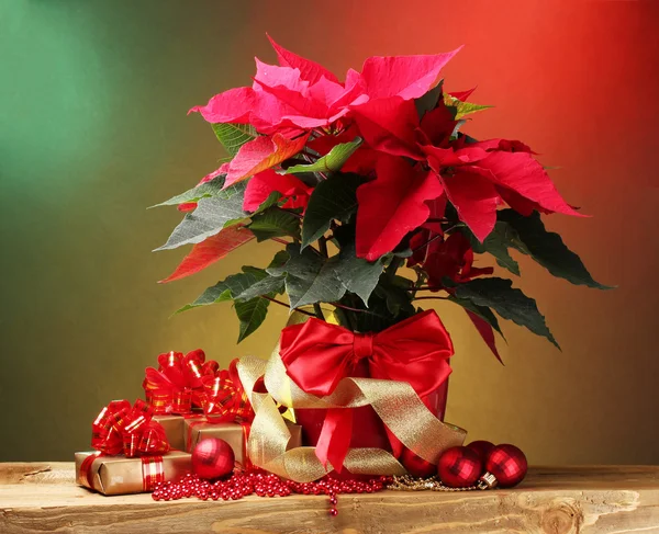 Hermosa poinsettia en maceta, regalos y bolas de Navidad en mesa de madera sobre fondo brillante — Foto de Stock