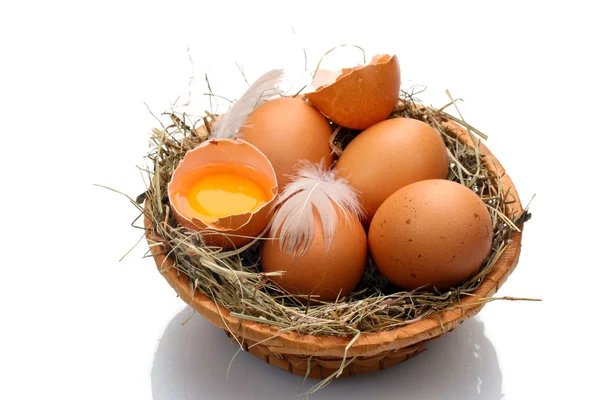 Huevos de pollo en un nido aislado en blanco —  Fotos de Stock