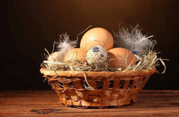 Oeufs de poulet et de caille dans un nid sur une table en bois sur fond brun — Photo