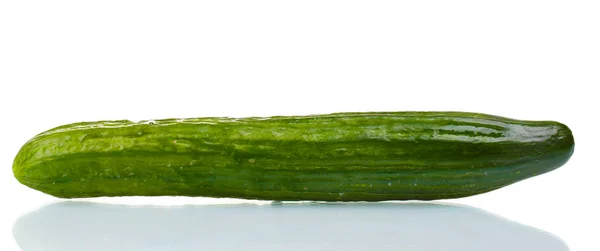Pepino largo aislado en blanco — Foto de Stock