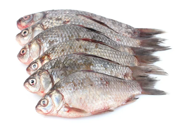 Свежие рыбы, изолированные на белом — стоковое фото