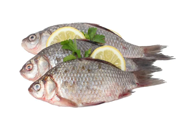 新鲜鱼类与柠檬、 香菜和香料上白色隔离 — 图库照片