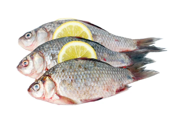 Φρέσκα ψάρια με λεμόνι που απομονώνονται σε λευκό — Φωτογραφία Αρχείου