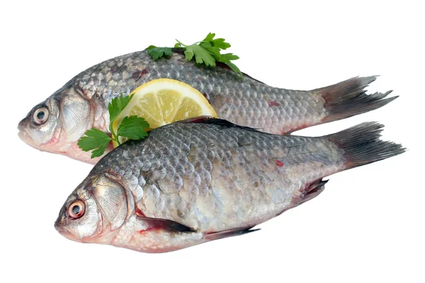 Frische Fische mit Zitrone und Petersilie isoliert auf weiß — Stockfoto