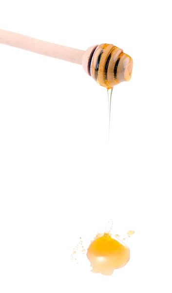 Sweet honey on drizzler isolated on white — Stock Photo, Image