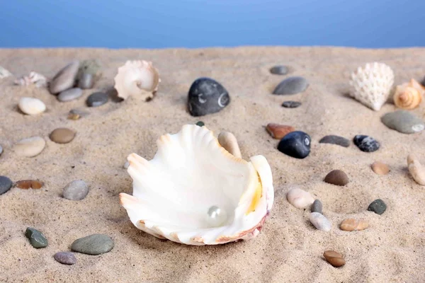 Sea shell met pearl op zand — Stockfoto