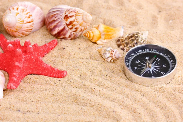 Conchas do mar e estrelas do mar com kompass na areia close-up — Fotografia de Stock