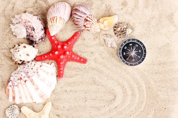 Морские ракушки и морская звезда с компассом на песке — стоковое фото