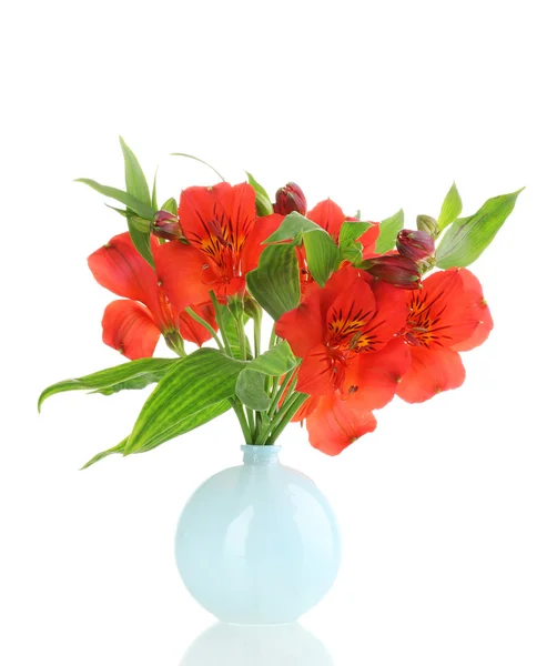 Alstroemeria in vase isolated on white — Stock Photo, Image