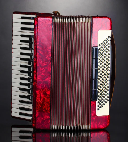 Retro accordion on grey background — Stock Photo, Image