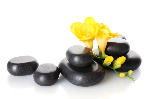 Spa stenen en gele bloem geïsoleerd op wit — Stockfoto