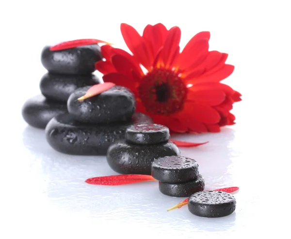 Spa stenar med droppar, röd blomma och kronblad isolerad på vit — Stockfoto