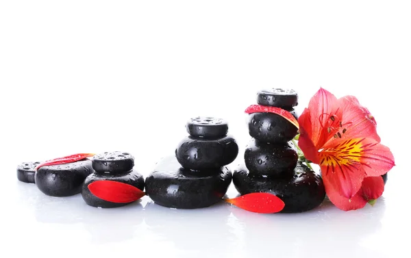 Piedras de spa con gotas, flor roja y pétalos aislados en blanco —  Fotos de Stock