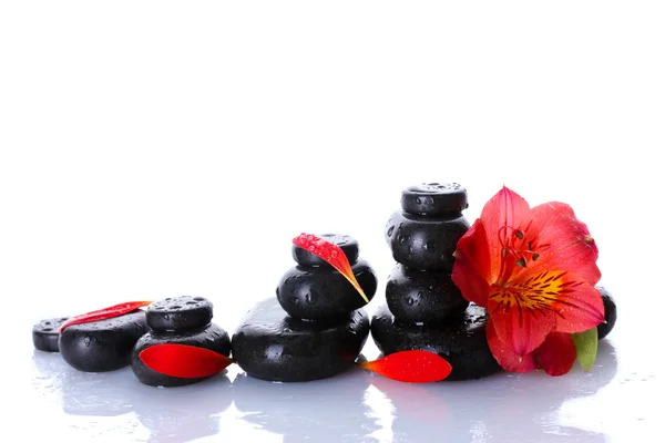 Piedras de spa con gotas, flor roja y pétalos aislados en blanco — Foto de Stock
