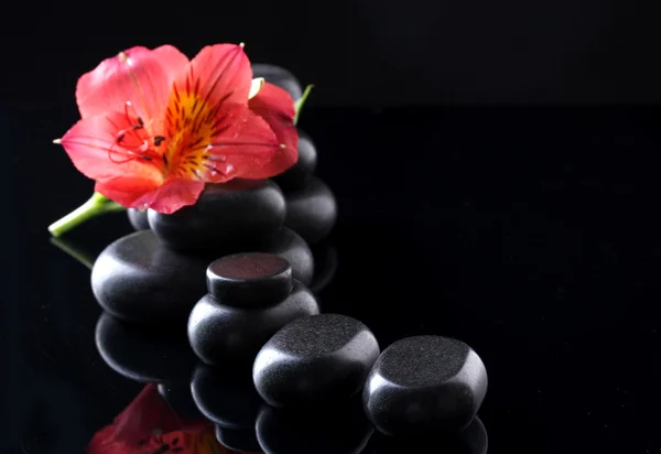 Piedras de spa y flor roja sobre fondo negro — Foto de Stock
