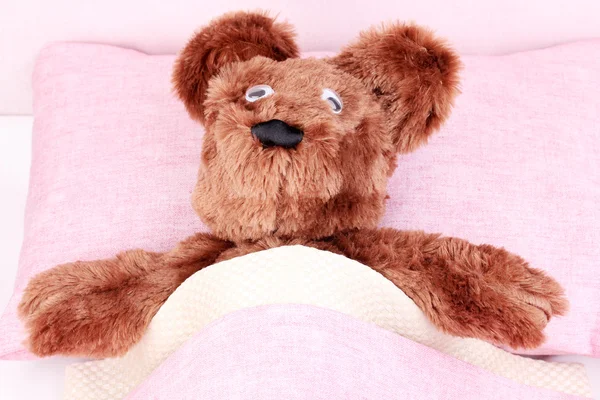 Άρρωστος αρκούδα στο κρεβάτι — Φωτογραφία Αρχείου