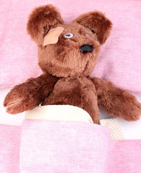 Nemocný medvěd v posteli — Stock fotografie