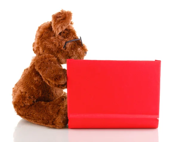 Urso brinquedo leitura livro isolado no branco — Fotografia de Stock