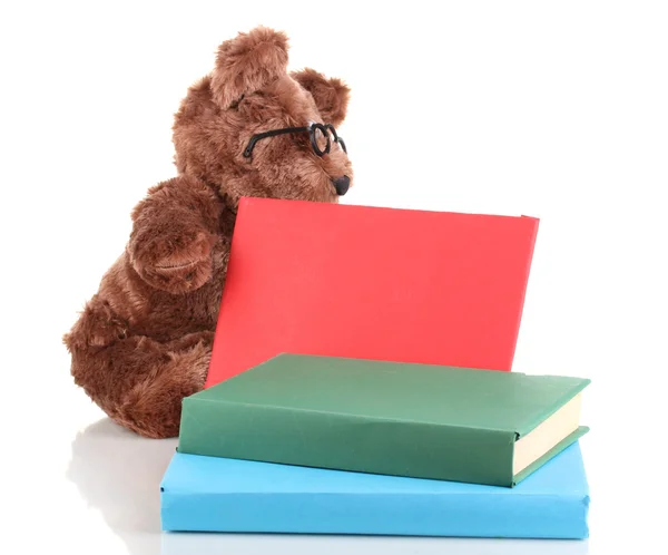 Giocattolo orso seduto con libri isolati su bianco — Foto Stock