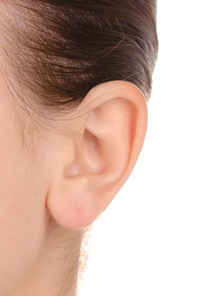 Lidské ucho detail izolované na bílém — Stock fotografie