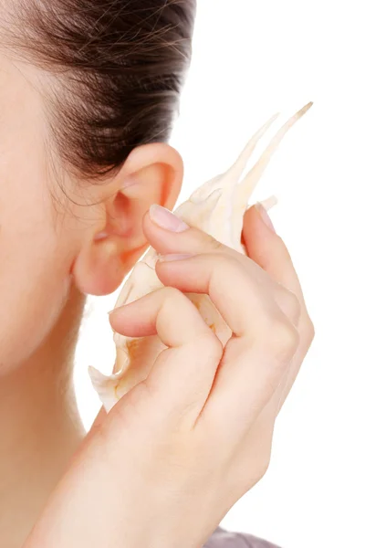 Ανθρώπινο αυτί και close-up κέλυφος που απομονώνονται σε λευκό — Φωτογραφία Αρχείου