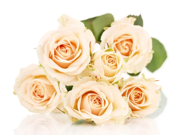 Lindas rosas isoladas em branco — Fotografia de Stock