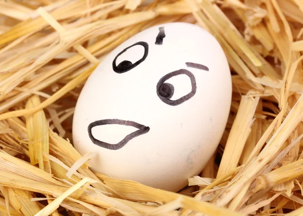 White egg with funny face in straw — Stock Photo, Image