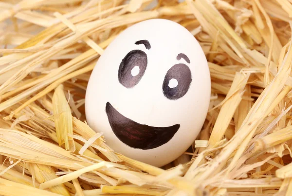 Vita ägg med roliga ansikte i halm — Stockfoto