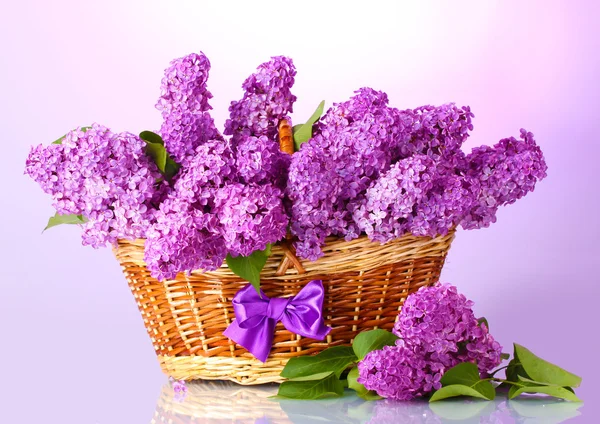 stock image Beautiful lilac flowers in basket on purple background