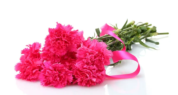 Krásné růžové karafiáty izolovaných na bílém — Stock fotografie