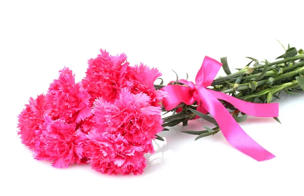 Bonitos cravos cor-de-rosa isolados em branco — Fotografia de Stock