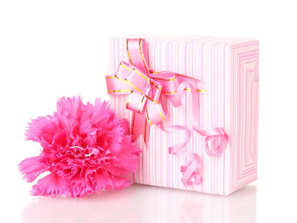 Beautirul 粉红色的礼物和牡丹花卉上白色隔离 — 图库照片