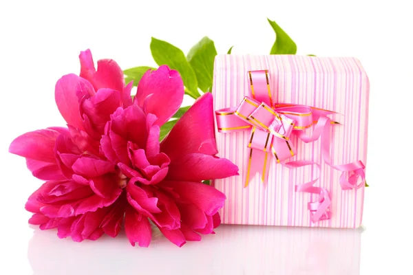 Beautirul pembe hediye ve Şakayık çiçeği üzerinde beyaz izole — Stok fotoğraf