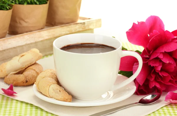 Xícara de chocolate quente, biscoitos e flor na mesa no café — Fotografia de Stock