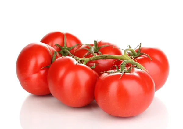 Свежие помидоры на ветке изолированы на белом — стоковое фото