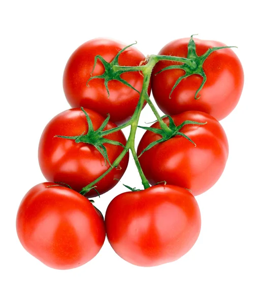 Tomat segar pada cabang terisolasi pada putih — Stok Foto