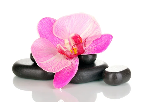 Spa kamienie z orchidea kwiat na białym tle — Zdjęcie stockowe