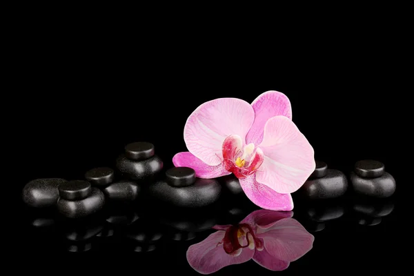 Σπα πέτρες με ορχιδέα λουλούδι που απομονώνονται σε μαύρο — Φωτογραφία Αρχείου