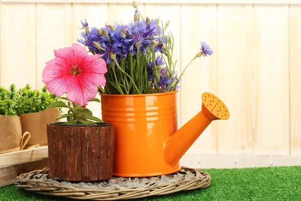 Watering can and plants in flowerpot on grass on wooden background — Stock Photo, Image