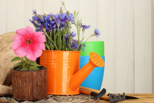 Konev, nástroje a květiny na dřevěné pozadí — Stock fotografie