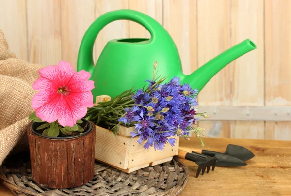 Gießkanne, Werkzeug und Blumen auf hölzernem Hintergrund — Stockfoto