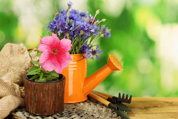 Vattenkanna, verktyg och blommor på träbord på grön bakgrund — Stockfoto