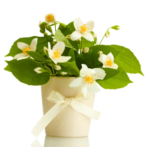 Piękne kwiaty jaśminu w wazonie na białym tle — Zdjęcie stockowe
